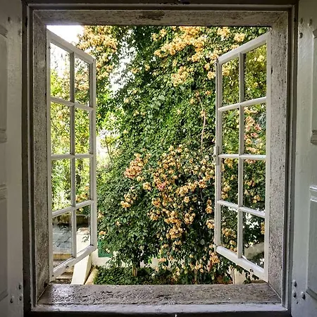 Palacio Belmonte בית נופש