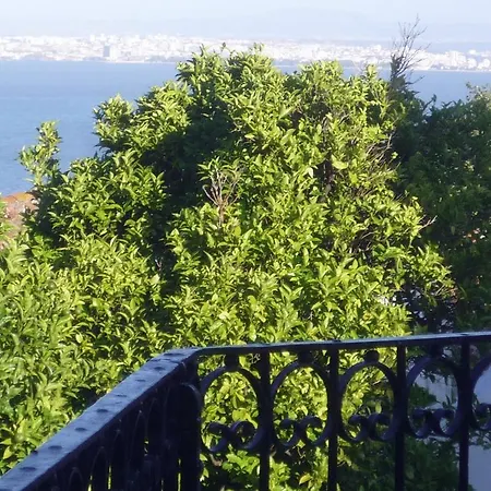 Сasa de vacaciones Palacio Belmonte